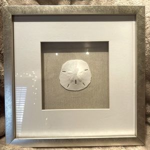 Sand Dollar Shadow Box Frame Custom Beach Art Coastal Wall Print-Decor